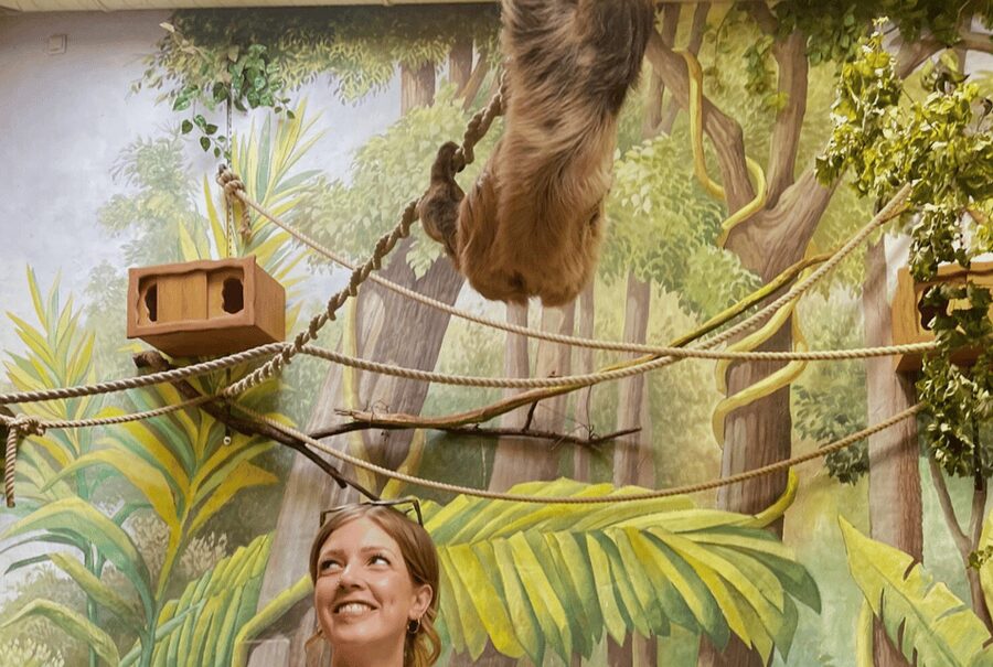 1-day ticket for Schwerin Zoo - Asiatic lions, Rothschild giraffes, and David’s deer
