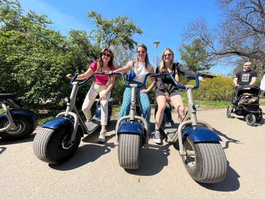 3 Hours Hamburg E-Scooter Tour - Rathaus and the city core, plus Hauptbahnhof as a practical checkpoint