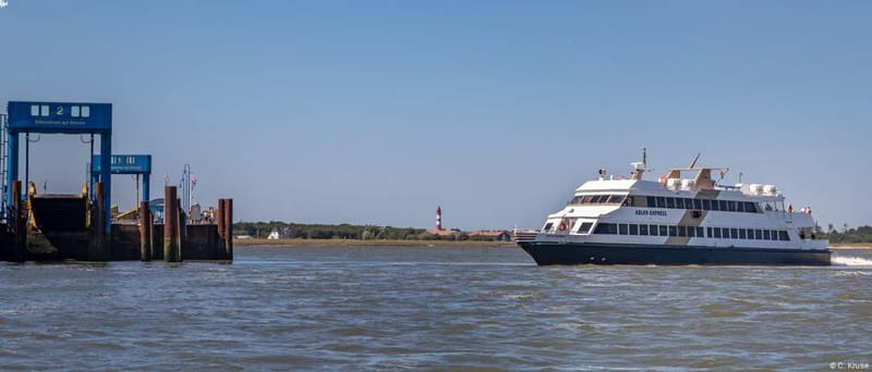 Amrum: Day trip by boat to Hallig Hooge - Hallig Hooge: why the storm-surge story feels real