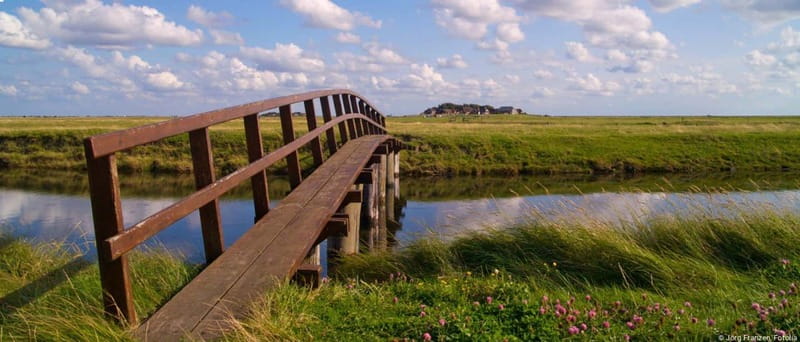 Amrum: Day trip by boat to Hallig Hooge - Storm surge cinema: how people learn the water rules