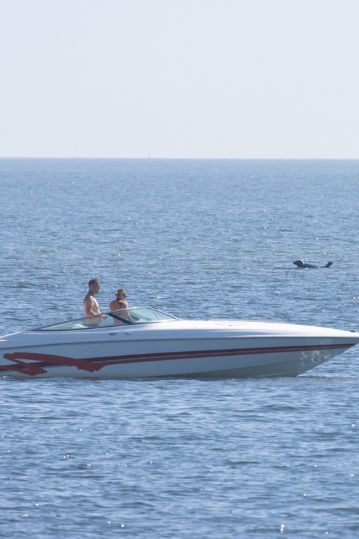 Baabe on Rügen: Seal-Spotting Cruise in the Baltic - Baabe to the Greifswalder Bodden, a focused 2.5-hour seal hunt