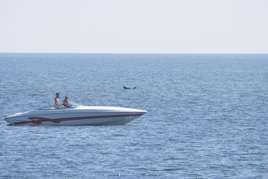 Baabe on Rügen: Seal-Spotting Cruise in the Baltic - Nature trip reality: your best odds come from weather and patience