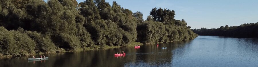 Bad Bellingen: Beginners Canoe Tour on the Altrhein - Key things to know before you go