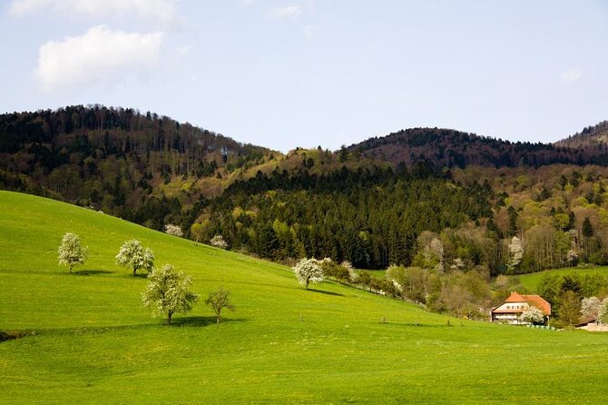 Baden-Baden, Black Forest and Strasbourg Day Trip from Frankfurt - Key Takeaways Before You Go