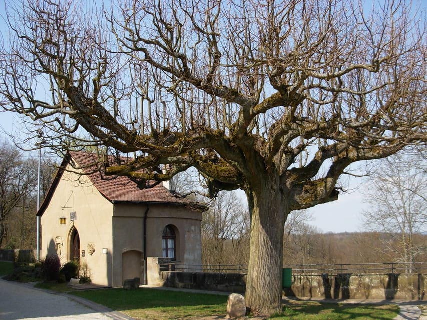 Bamberg: Altenburg Burg Tour - The castle’s defenses and weaponry, explained in plain terms