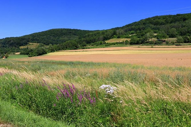 Bamberg Countryside Breweries Beer Hike Food Experience - Why This Bamberg Beer Hike Feels Different Than a Typical Tour