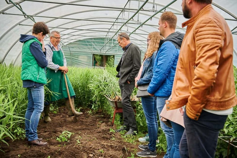 Bamberg: Guided Tour of the Gardeners' District - Niedermaier’s Organic Market Garden Visit: Where the Story Becomes Real