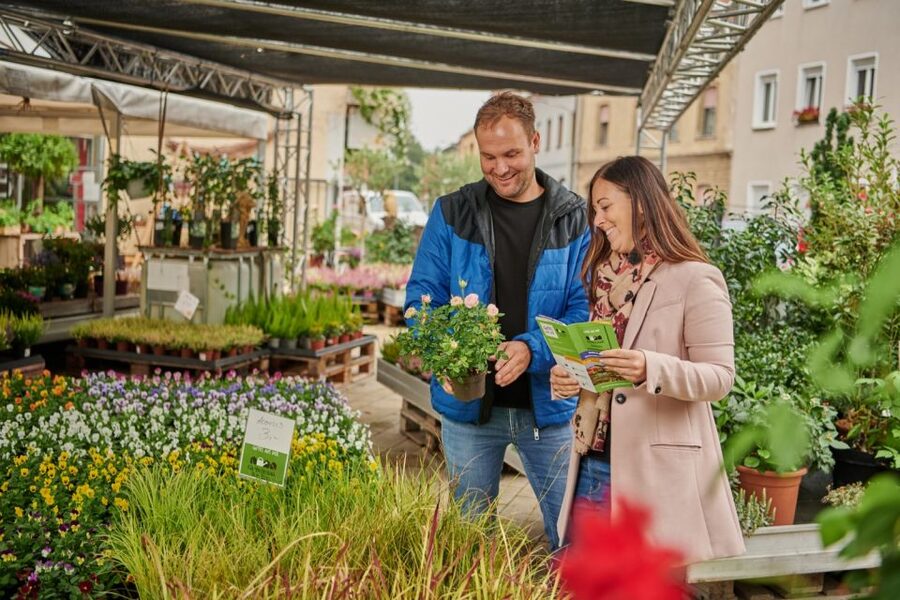 Bamberg: Guided Tour of the Gardeners' District - Pacing and Practical Tips for a Smooth 1.5 Hours