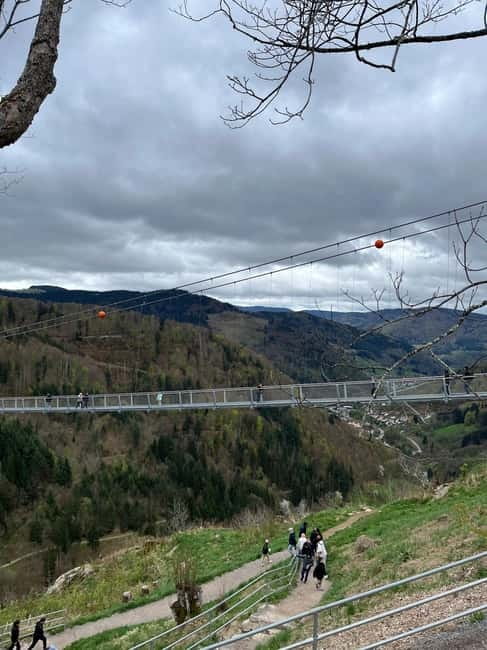 Basel: Black Forest, Waterfall &Mountain, Lakes Private Tour - St. Blasien Dom: a giant dome in the Black Forest