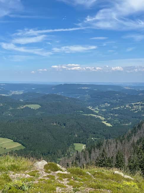 Basel: Black Forest, Waterfall &Mountain, Lakes Private Tour - Belchen Mountain by gondola: mountain views without the grind