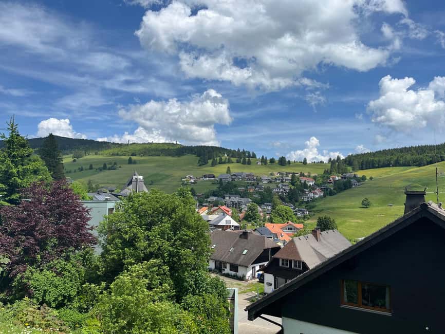 Basel: Black Forest, Waterfall &Mountain, Lakes Private Tour - Blackline suspension bridge and Todtnau waterfall: high views, loud water