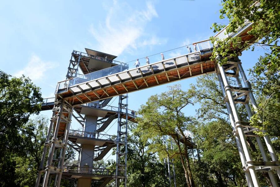 Beelitz-Heilstätten: Baum&Zeit Tree Top Walk Entry Ticket - Key Things to Know Before You Go