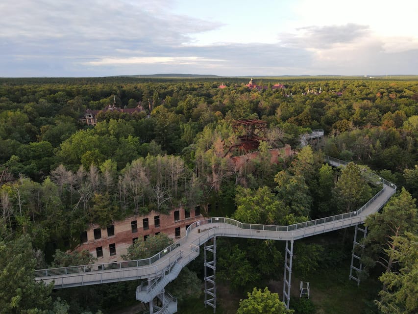 Beelitz-Heilstätten: Baum&Zeit Tree Top Walk Entry Ticket - Up Above the Park: Flora, Seasons, and Those Small Details You Can Actually See