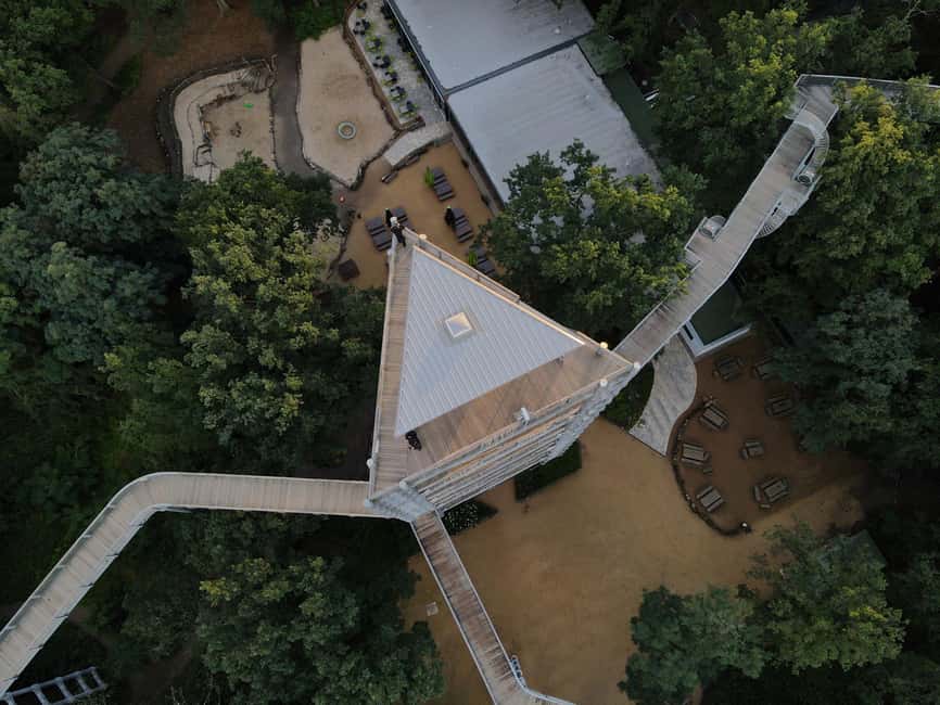 Beelitz-Heilstätten: Baum&Zeit Tree Top Walk Entry Ticket - Alpenhaus Ruins and the Canopy Forest Since 1945