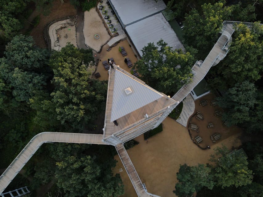 Beelitz-Heilstätten: Baum&Zeit Tree Top Walk Entry Ticket - Climbing the 40-Meter Observation Tower for Real Perspective