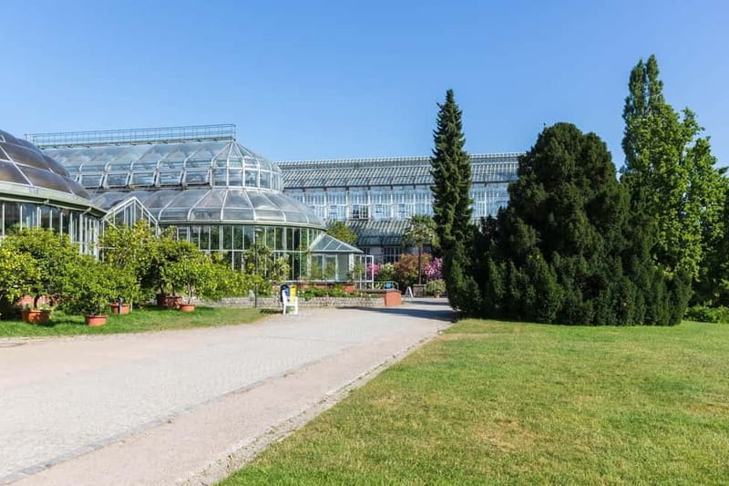 Berlin: Botanic Garden Berlin Entry Ticket with Audio Guide - Your Phone Audio Guide: Offline, Reusable, and Built for Browsing