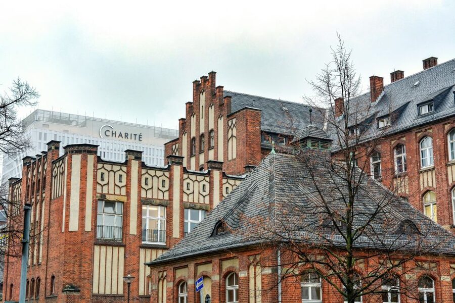 Berlin: Charité Hospital History Walking Tour - Nazi-era ethics and the brutal misuse of medical power