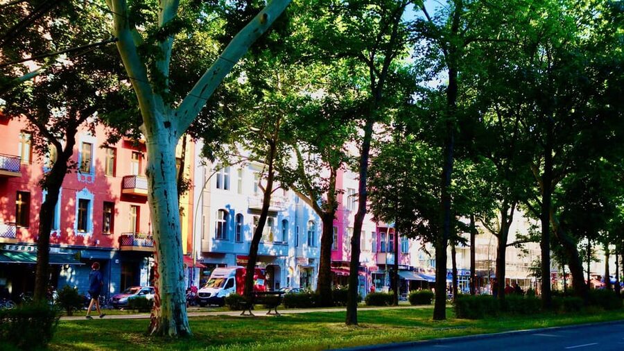 Berlin Food Tour: Must-Try German & Berliner Classics - Vegetarian and plant-based options: where this tour earns praise