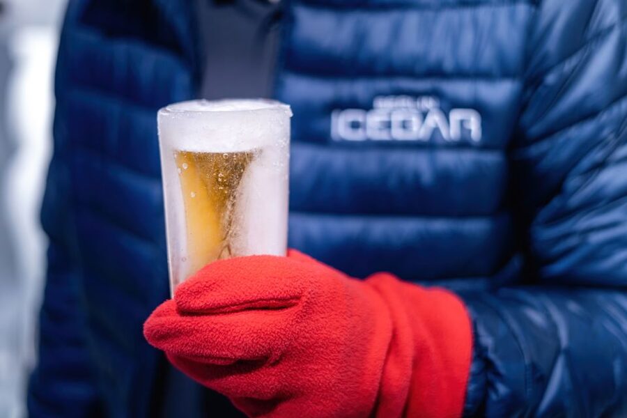 Berlin: Hop-On Hop-Off Bus and Icebar Ticket Combo - Should you book this Berlin bus and Icebar combo?