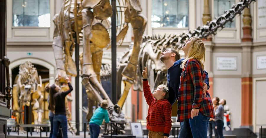 Berlin: Natural History Museum Entrance Ticket - Giraffatitan brancai: The Tallest Mounted Dinosaur Moment