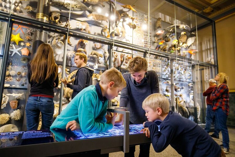 Berlin: Natural History Museum Entrance Ticket - Tristan Otto and the T. rex Reality Check