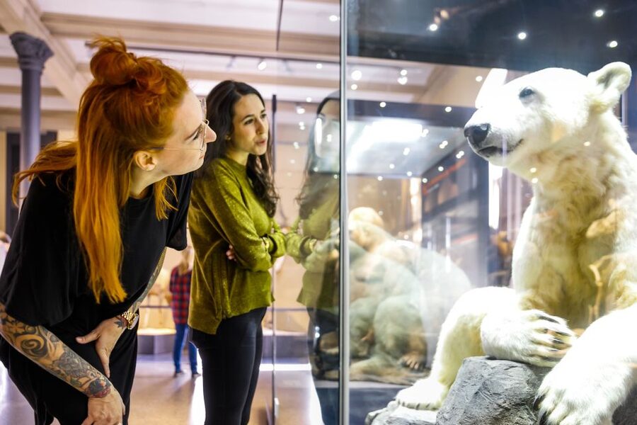 Berlin: Natural History Museum Entrance Ticket - Downloadable Audio and Multilanguage Support That Actually Matters