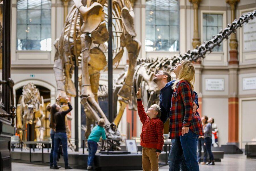 Berlin: Natural History Museum Entrance Ticket - The Dinosaur Hall and Upper Jurassic World-Building