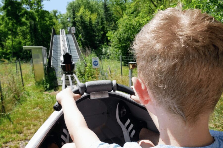 Berlin: Nature Bobsled Run Ticket - How the Timing Works in Your Berlin Day