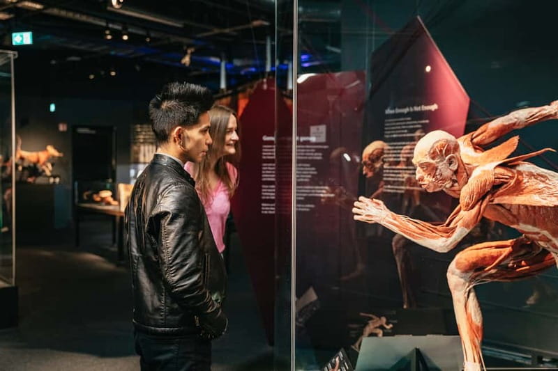 Berlin: Tickets for the BODY WORLDS Museum in Berlin - Finding BODY WORLDS at Panoramastraße 1a