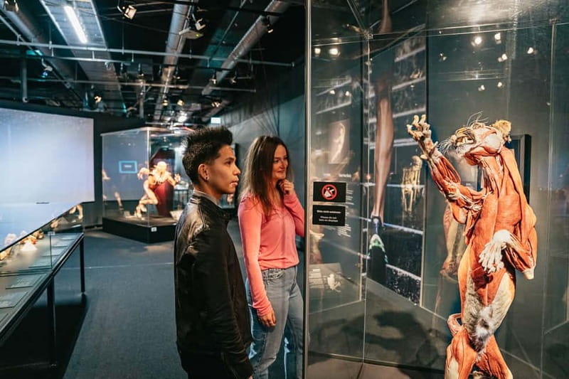 Berlin: Tickets for the BODY WORLDS Museum in Berlin - Timing your visit: opening hours, last admission, and how long you need