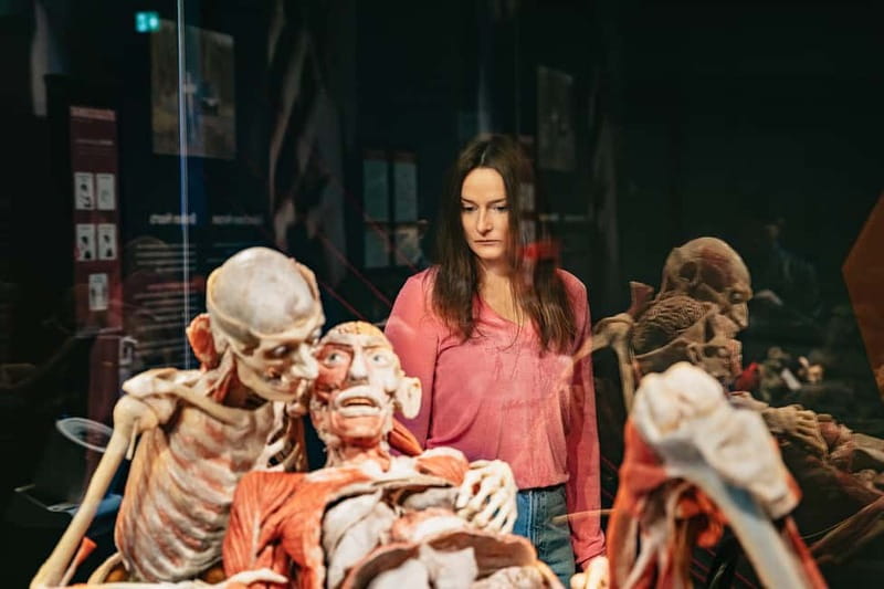 Berlin: Tickets for the BODY WORLDS Museum in Berlin - Your route through anatomy: skeleton, organs, and disease made understandable