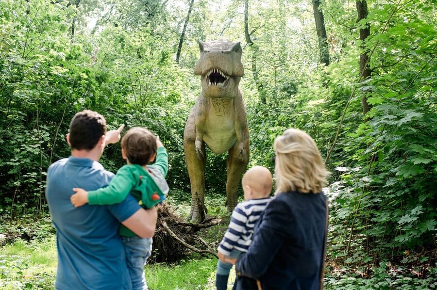Berlin: Tickets for the Tierpark in East Berlin - Key Things to Know Before You Go