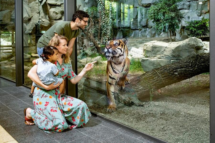 Berlin: Tickets for the Tierpark in East Berlin - Tickets and value: what your one-day pass really buys