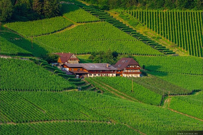 Black Forest. From Baden-Baden to Strasbourg. Two countries in one day - Black Forest High Road, Germany’s classic scenic drive