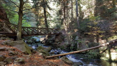 Black Forest: Ravenna Gorge Hike, Self-Guided