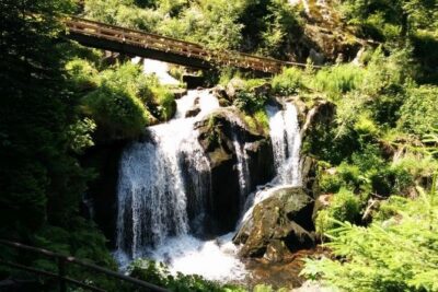 Black Forest Tour by car – start Offenburg or Freiburg