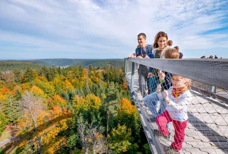 Black Forest: Treetop Walk & Lookout Tower Experience - Key highlights you should plan around