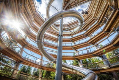 Black Forest: Treetop Walk & Lookout Tower Experience
