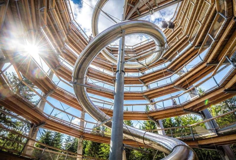Black Forest: Treetop Walk & Lookout Tower Experience - The 1,250 m elevated trail, rising gently through mixed forest