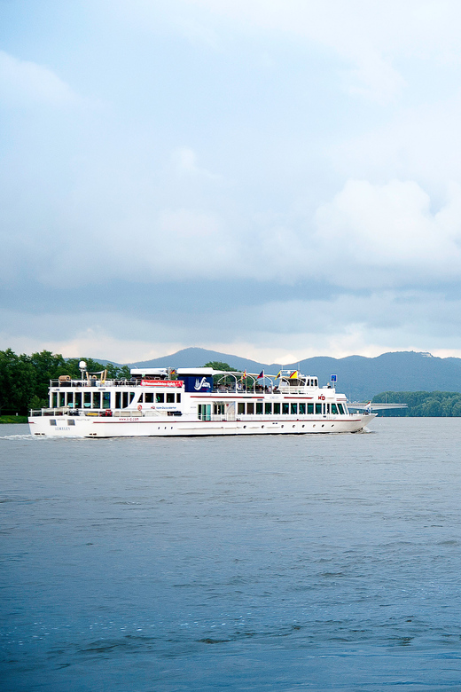 Bonn: Evening Sightseeing Cruise on the Rhine River - Key Things I’d Watch For on This Bonn Rhine Cruise