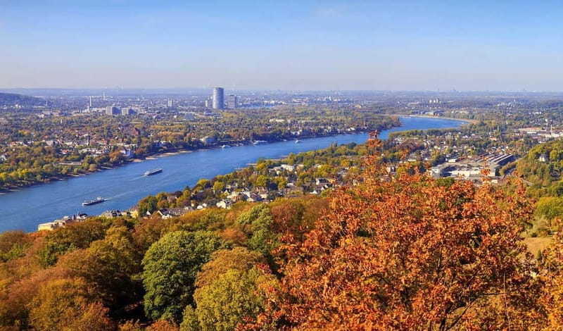 Bonn: Winter tour by boat with mulled wine - Service, comfort, and the drink reality
