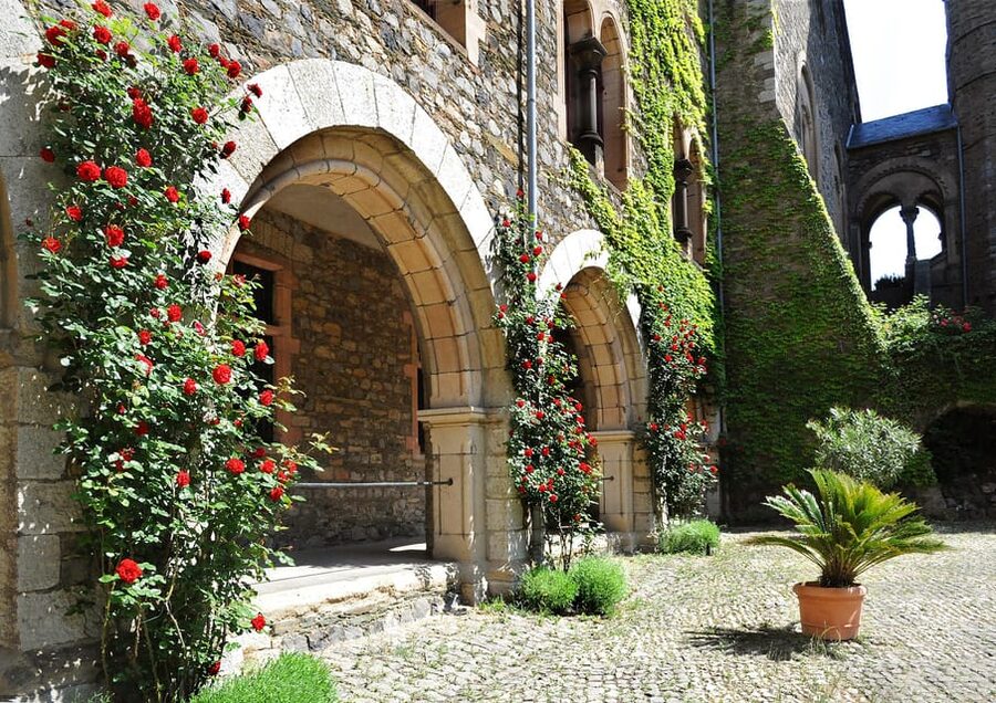Braunfels: Guided Tour of the Fairytale Castle Braunfels - Price and what 50 minutes actually delivers