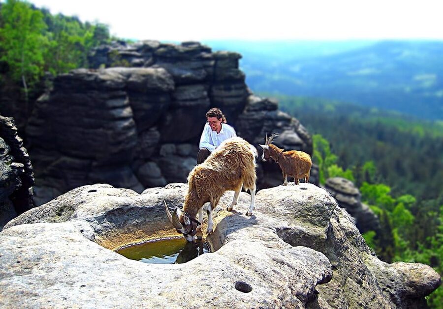 Climb the mountains together with goats - Walking toward Quirl: the fun part starts right away