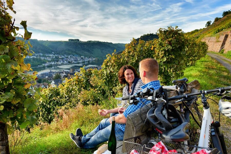 Cochem: Bike and Boat Tour with Picnic and Wine Tasting - Picnic on the Mosel: what makes the lunch part work