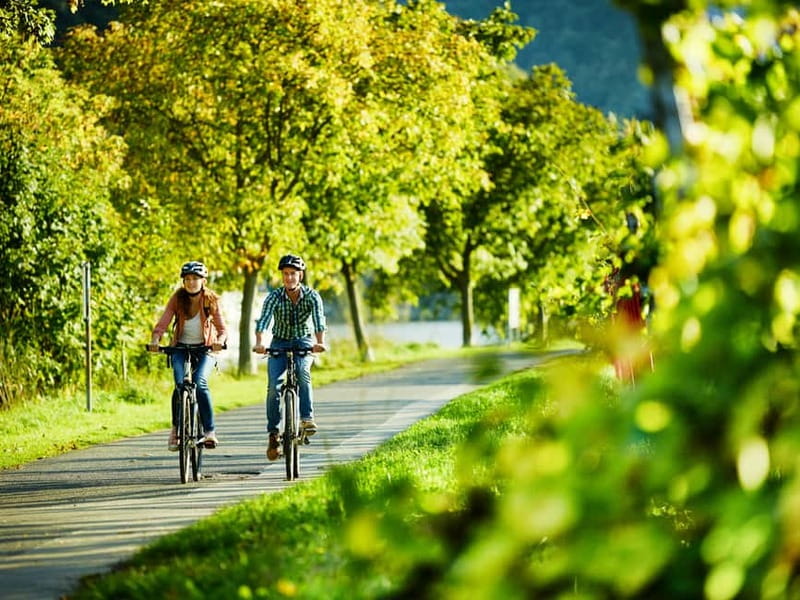 Cochem: Bike and Boat Tour with Picnic and Wine Tasting - Cochem KD Ticket Office, and the paperwork reality check