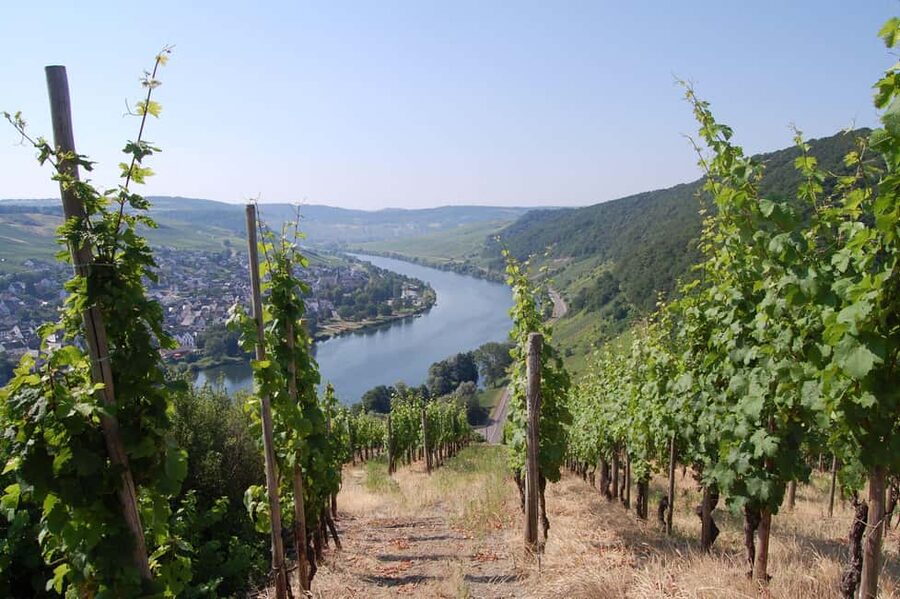 Cochem, Moselle: Wine experience hike with boat trip - Key things that make this Cochem wine hike special