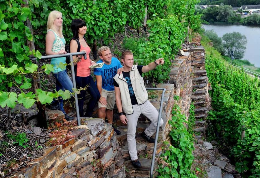 Cochem, Moselle: Wine experience hike with boat trip - Why this Cochem to Bruttig format feels more real than a basic tasting