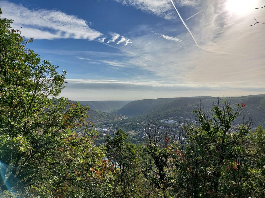 Cochem, Moselle: Wine experience hike with boat trip - The 20-minute Moselle cruise, short and sweet on purpose
