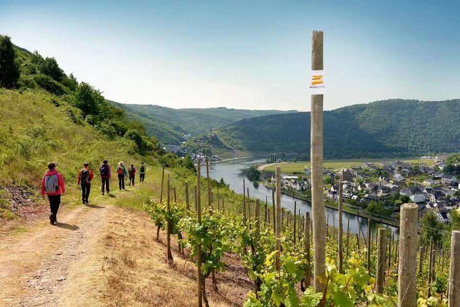 Cochem, Moselle: Wine experience hike with boat trip - Meeting point at Moselpromenade 15, and how to avoid a stressful start