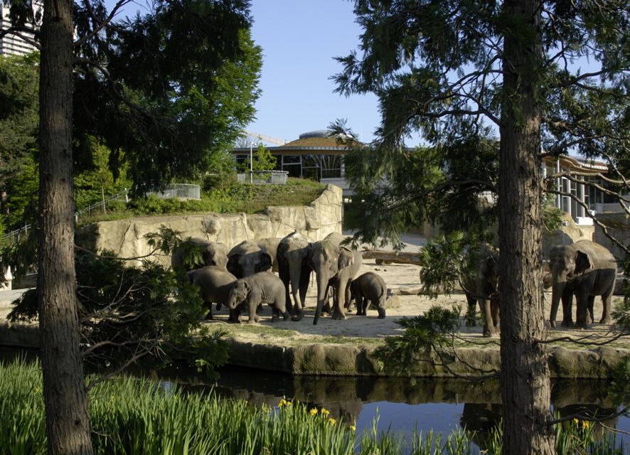 Cologne: Cologne Zoo and Aquarium Entry Ticket - Getting there: metro line 18, bus 140, and where to park